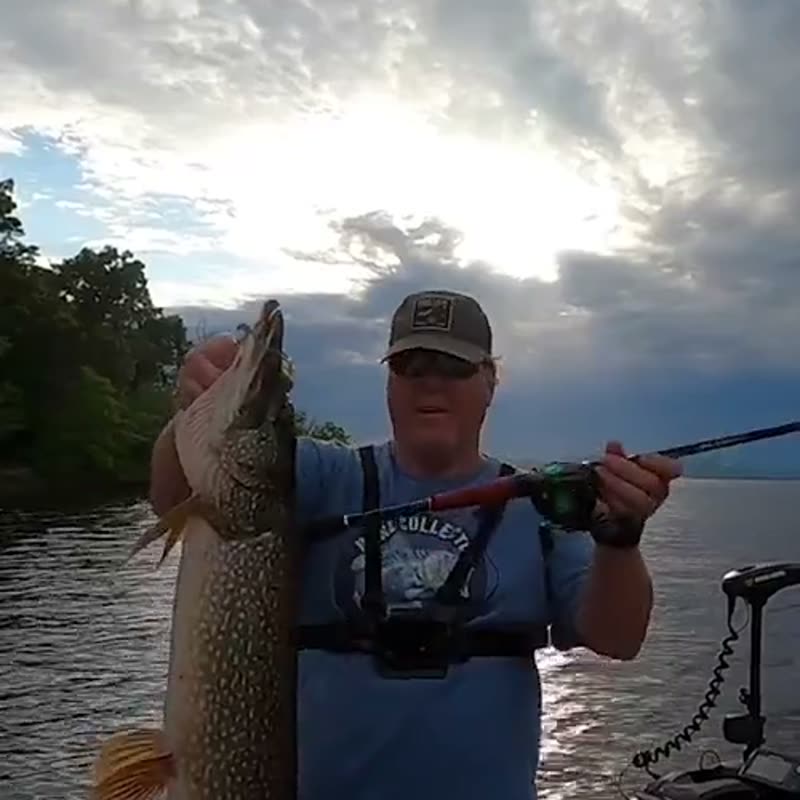 An angler landing a big northern pike on an Obalus reel