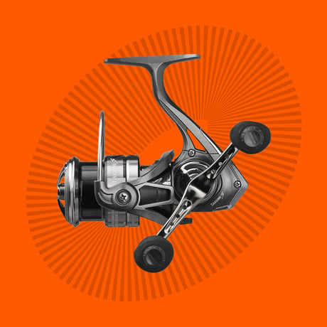 REELS