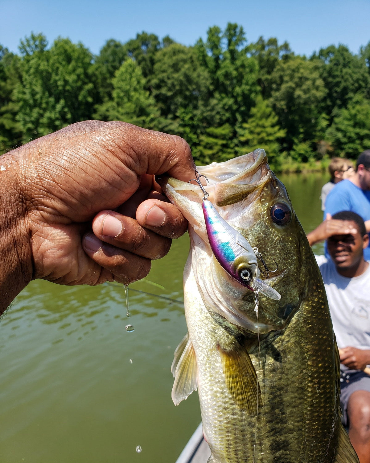 Staged photo: a largemouth bass held up with a holographic hard bait in its lip