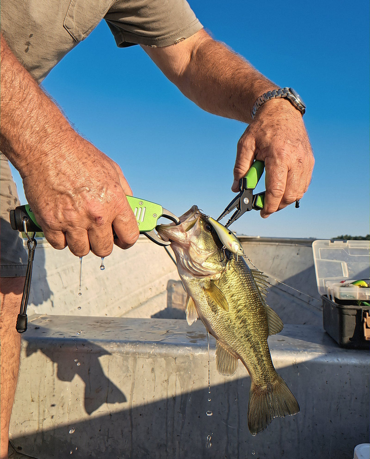 Taking a crankbait out of a bass’s mouth with the Obalus Precision Grip pliers and lip grip