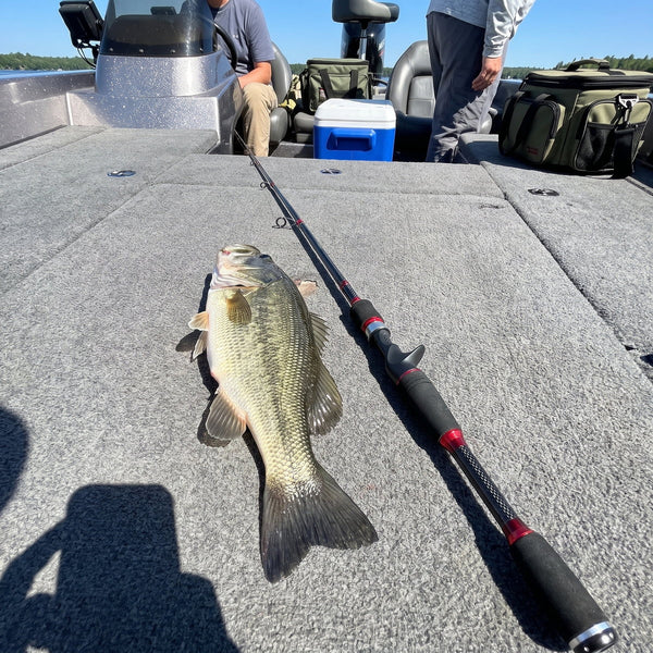 Largemouth bass on a sunny boat deck next to a casting rod handle