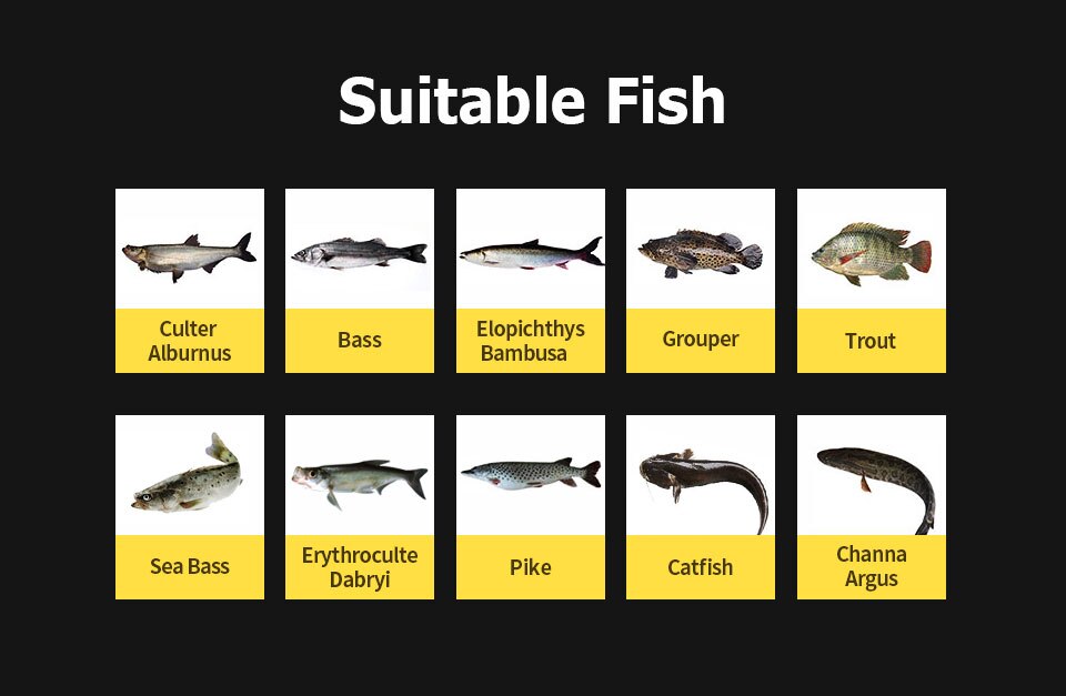 Obalus Titan Strike Baits