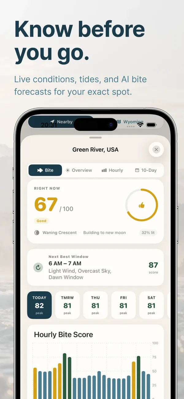 PB Fishing bite forecast: a bite score for right now, the next best window and an hourly chart